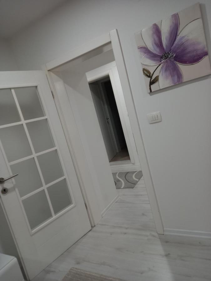 Aine Apartman - Old Bridge موستار المظهر الخارجي الصورة
